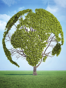 Tree Planet | Дерево Планета