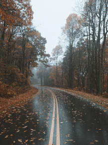 Road | Дорога