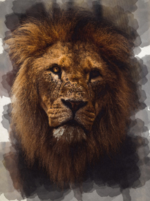 Lion | Лев