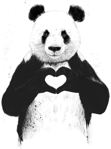 Panda | Панда