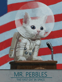 Mr. Pebbles - The First Cat In Space
