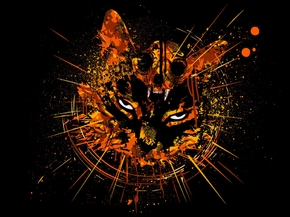 Cat | Кот