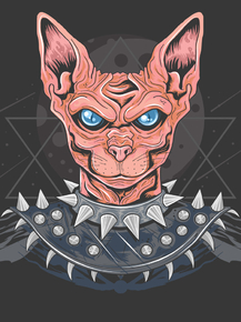 Cat | Кот