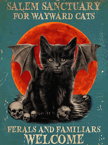 Salem sanctuary for wayward cats (Коллекция постеров №2)