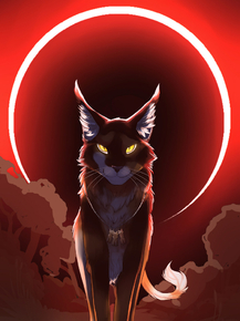 Cat | Кот