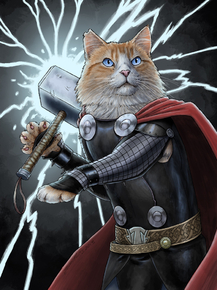 Cat - Tor | Кот - Тор