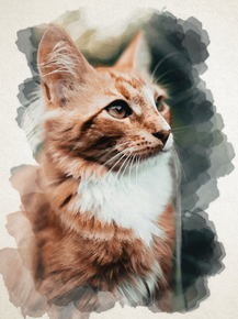 Cat | Кот