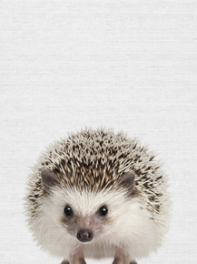 Hedgehog (Коллекция постеров) | Ёжик