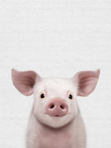 Pig (Коллекция постеров) | Свинья