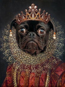 Pug in Crown | Мопс в короне