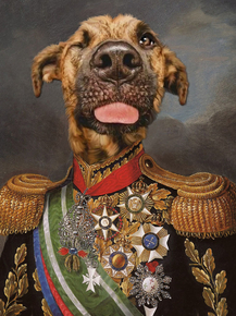 Dog Leader | Пёс Полководец