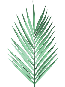 Foliage | Листья