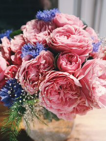 Peonies | Пионы