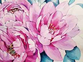 Peonies | Пионы