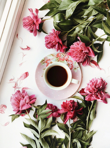 Peonies | Пионы