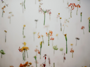 Flowers | Цветы