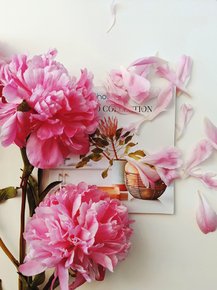 Peonies | Пионы
