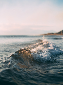 Sea | Море