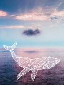 Sky | Небо