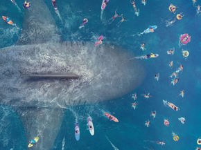 Shark | Акула