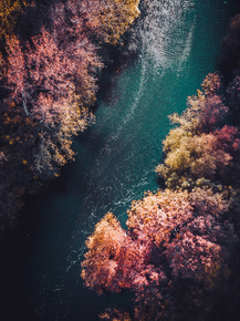River | Река