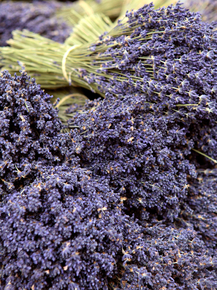 Provence | Прованс