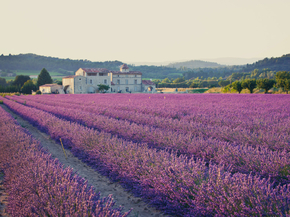 Provence | Прованс