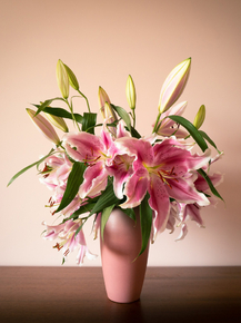 Lilies | Лилии