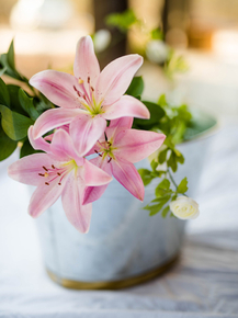 Lilies | Лилии