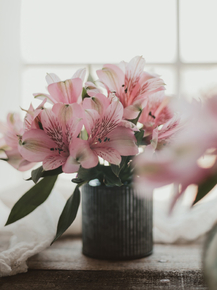 Lilies | Лилии Lilies | Лилии