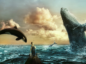 Killer whale | Косатка