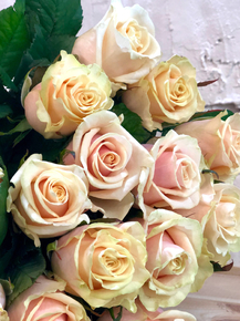 Roses | Нежные розы