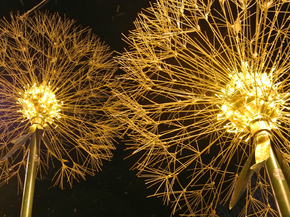Dandelions | Одуванчики