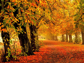 Autumn | Осень