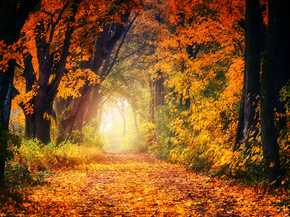 Autumn | Осень