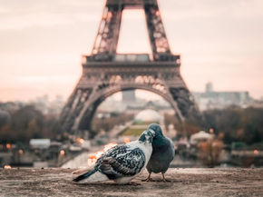 Paris | Париж