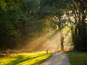 Nature Landscape | Пейзаж - Природа