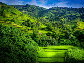 Nature Landscape | Пейзаж - Природа