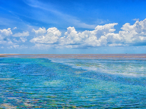 Nature Landscape | Пейзаж - Природа