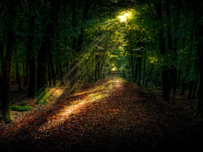 Nature Landscape | Пейзаж - Природа