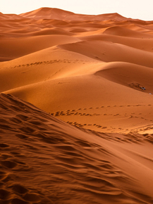 Desert | Пустыня