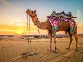 Desert | Пустыня