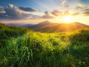 Sun & grass | Солнце и трава