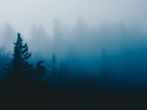 Fog | Туман