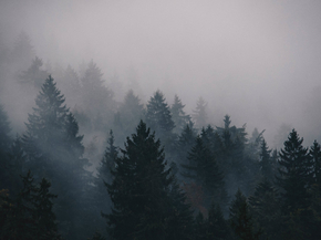 Fog | Туман