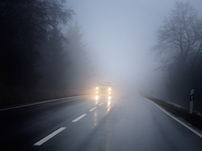 Fog | Туман