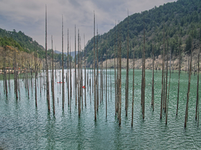Japanese nature | Японская природа