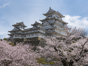 Japanese nature | Японская природа