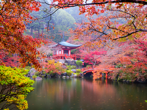 Japanese nature | Японская природа