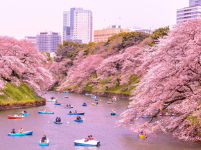 Japanese nature | Японская природа